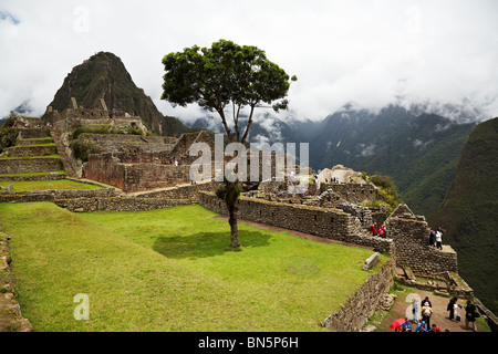 L'insediamento Inca di Machu Picchu, Perù. Foto Stock