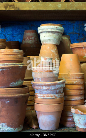 Impianto di argilla bicchieri impilati su un ripiano di incapsulazione, in un vecchio Victorian Potting Shed Foto Stock