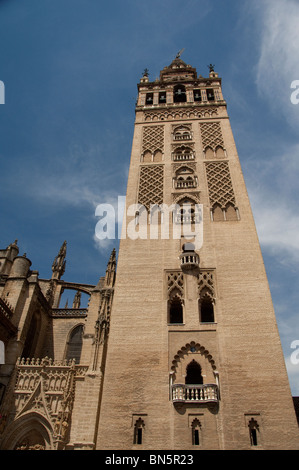 In Spagna, la provincia di Cadiz Cadice, Siviglia. Gotica Cattedrale di Sevilla e Giralda Renaissance torre campanaria. Foto Stock