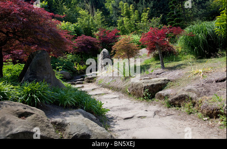 Giardino giapponese park con il rosso acero en sentiero in mezzo Foto Stock