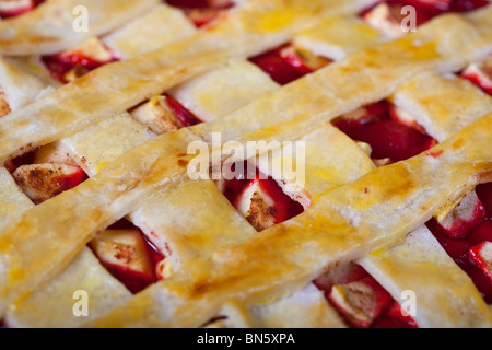 Primo piano della torta di mele a reticolo cecoslovacco europea, pasticceria, pasticceria, cibo dall'alto, telaio intero, non ha colpito nessuno cechi ad alta risoluzione orizzontale Foto Stock