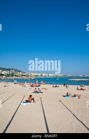 Lucertole da mare sulla spiaggia, Boulevard de la Croisette, Cannes, Provence-Alpes-Côte d'Azur, in Francia Foto Stock