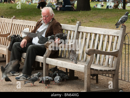 Alimentazione uomo piccioni in St.James Park Foto Stock