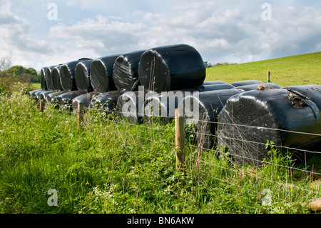 Pila di tondo di balle di fieno in plastica nera copre, Cotswolds, Gloucestershire, Regno Unito Foto Stock