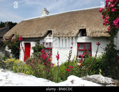 Cottage con il tetto di paglia, Clogherhead, Co. Louth, Irlanda Foto Stock