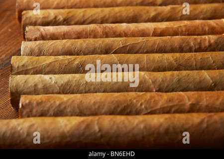 Grandi cubani sigari Cohiba. Foto Stock