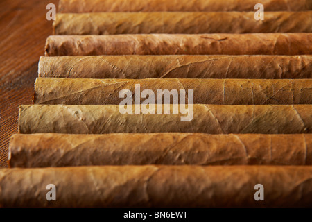 Grandi cubani sigari Cohiba. Foto Stock