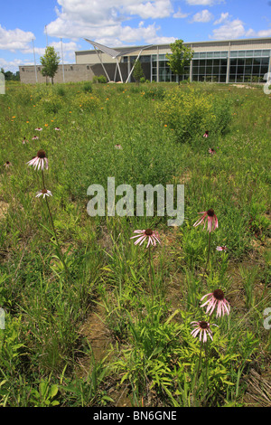 Prairie Centro visitatori Fernald ex uranio processing facility Superfund Cleanup sito convertito in zona umida Foto Stock