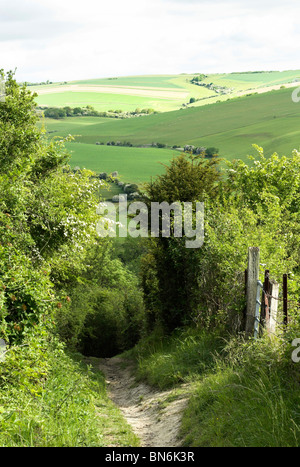 Il sentiero conduce intorno all'antica età del ferro hill fort di Cissbury Ring nel South Downs National Park. Foto Stock