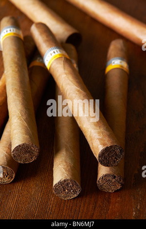 Grandi cubani sigari Cohiba. Foto Stock