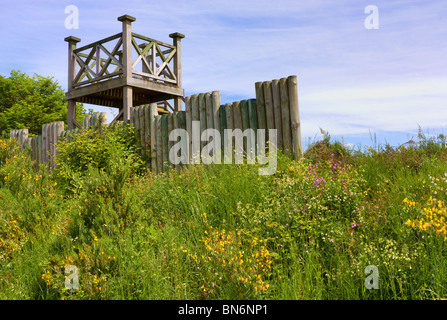 Punto di vista di legno da torre a Leaderfoot viadotto che attraversano il fiume Tweed in Scottish Borders. Foto Stock