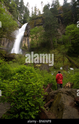 Uomo che guarda al Golden Falls, Golden e Silver Falls State Park, Oregon Foto Stock