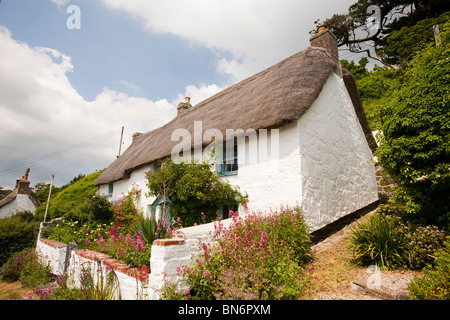 Cottage con il tetto di paglia in Cadgwith, un grazioso Cornish borgo peschereccio di lucertola, UK. Foto Stock