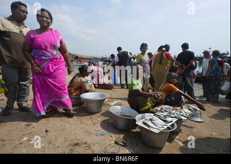 India Tamil Nadu Chennai ex Madras il mercato del pesce Foto Stock