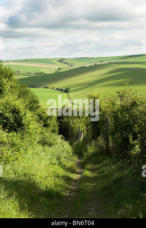 Il sentiero conduce intorno all'antica età del ferro hill fort di Cissbury Ring nel South Downs National Park. Foto Stock