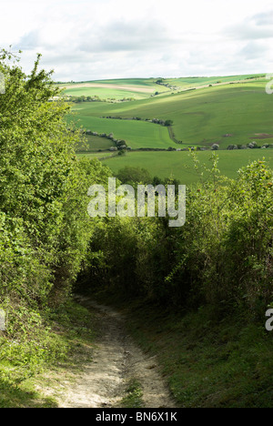 Il sentiero conduce intorno all'antica età del ferro hill fort di Cissbury Ring nel South Downs National Park. Foto Stock