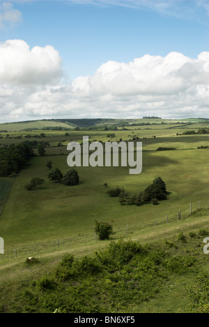 Guardando verso il South Downs National Park dal versante settentrionale del Cissbury anello verso Chanctonbury Ring. Foto Stock