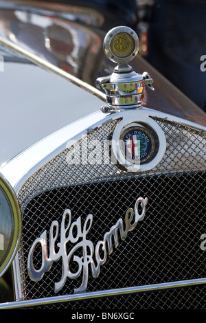 Alfa Romeo badge su Alfa Romeo classici a proprietari di club rally Foto Stock