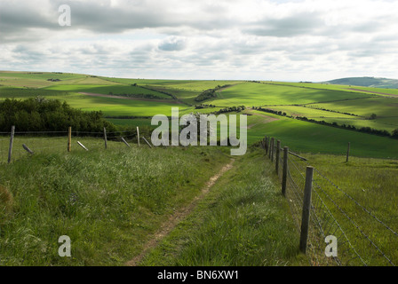 Il sentiero conduce intorno all'antica età del ferro hill fort di Cissbury Ring nel South Downs National Park. Foto Stock