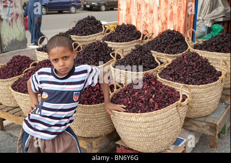 Un giovane Egiziano Nubiano ragazzo dal suo stallo di erbe essiccate di vendita fiori di ibisco, il mercato delle spezie, Aswan, Alto Egitto Foto Stock