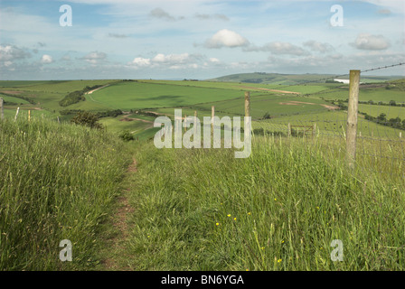 Il sentiero conduce intorno all'antica età del ferro hill fort di Cissbury Ring nel South Downs National Park. Foto Stock