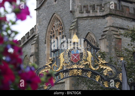 Il Crest e cancelli ornati di st columb's Cathedral di Londonderry Irlanda del Nord. Foto Stock