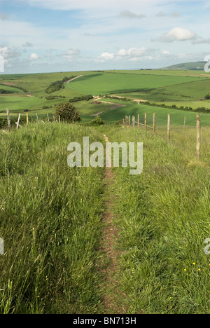 Il sentiero conduce intorno all'antica età del ferro hill fort di Cissbury Ring nel South Downs National Park. Foto Stock