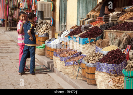 Mercato egiziano; scena con i bambini egiziani e cabina delle spezie, nel mercato di Aswan, Aswan, Africa dell'Alto Egitto Foto Stock