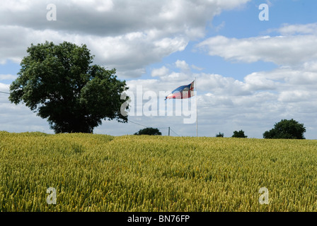 Battaglia di Bosworth. Ambion Hill, Leicestershire. REGNO UNITO 2010, 2014 HOMER SYKES Foto Stock