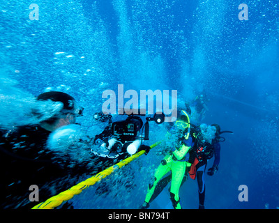 I subacquei appendere in linea durante il fermo di sicurezza dopo immersione profonda Foto Stock