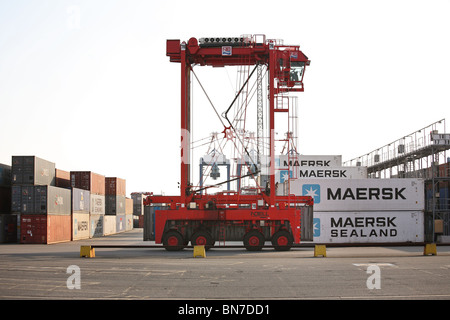 Il terminal per container di Bremerhaven, Germania Foto Stock