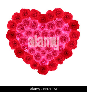 Rosso e rosa rosa forma di cuore simbolo su sfondo bianco Foto Stock