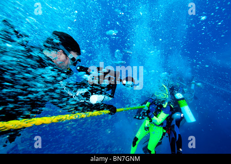 I subacquei appendere in linea durante il fermo di sicurezza dopo immersione profonda Foto Stock