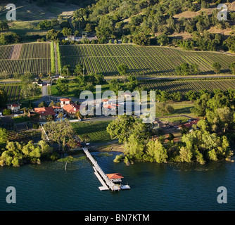 Vista aerea sopra Ceago vigna biodinamica Clear Lake Nice California Foto Stock