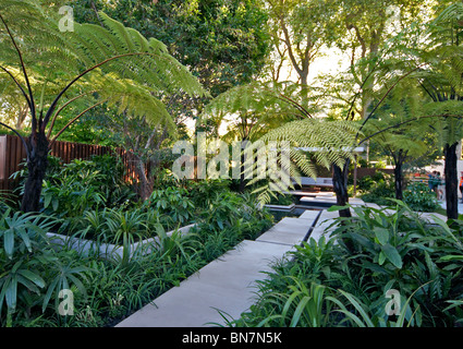 Una creazione di un tropicale esotico giardino foresta pluviale con funzione di acqua Foto Stock