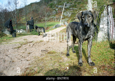 Castro Laboreiro, Gerês, Portogallo Foto Stock