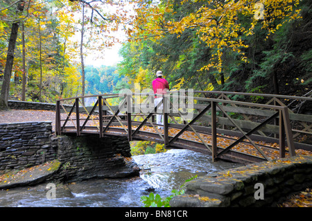 Ponte nel Letchworth state Park Western di New York durante l'autunno ora colori Foto Stock