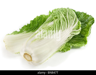 Il cavolo cinese vegatable isolati su sfondo bianco Foto Stock
