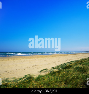 Spiaggia Bettystown Court Conference & Leisure nella contea di Meath, Irlanda Foto Stock