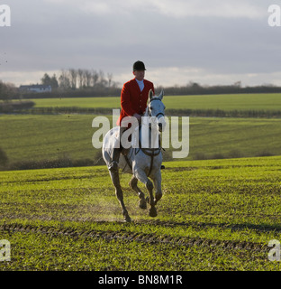 Caccia al costume rosso tradizione campagna Inghilterra Foto Stock