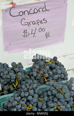 Le uve per la vendita in strada di stand nella regione dei Laghi Finger New York Foto Stock