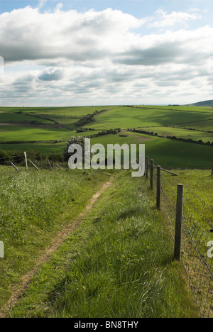 Il sentiero conduce intorno all'antica età del ferro hill fort di Cissbury Ring nel South Downs National Park. Foto Stock