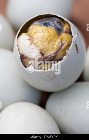 Un aperto balut, o cotte fertilizzato Duck egg, è raffigurato tra gli altri intero balut uova in Oriental Mindoro, Filippine. Foto Stock