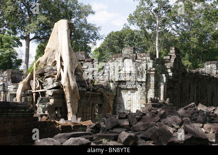 Il cortile di Preah Khan temple nel Parco Archeologico di Angkor. Foto Stock