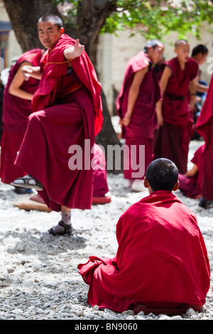 Discutendo di monaci al Monastero di Sera a Lhasa, in Tibet Foto Stock