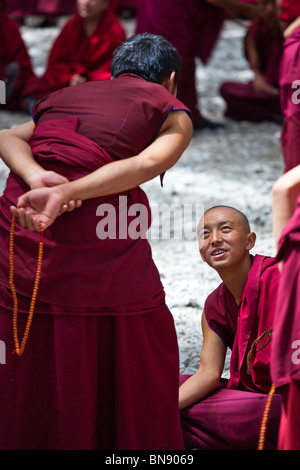 Discutendo di monaci al Monastero di Sera a Lhasa, in Tibet Foto Stock