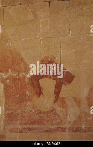 Rilievi policromo raffigurante un lavoratore egiziano. Tempio di Hatshepsut. Xviii dinastia. Nuovo Regno. Deir el-Bahari. L'Egitto. Foto Stock