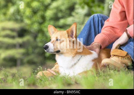 Cane sdraiato davanti al suo proprietario maschio Foto Stock