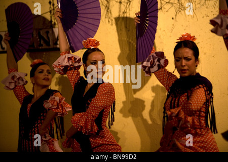 Ballerini di flamenco, o bailaoras, eseguire nel Tablao Flamenco el Cardenal a Cordoba, Andalusia, Spagna, 27 aprile 2010. Foto Stock