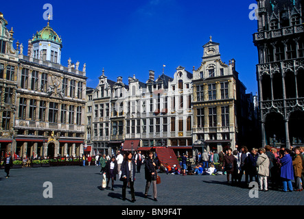 Persone, turisti, tour guidato, tour a piedi, guida, grandplace, Grand Place, città di Brussels, Bruxelles, Regione di Bruxelles capitale, Belgio, Europa Foto Stock